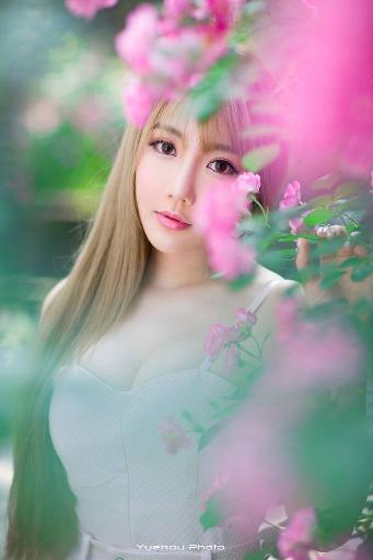 猫女的诅咒在线观看